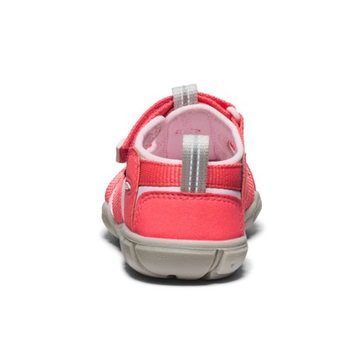 Little Kids' Seacamp II CNX  |  Dubarry/Giggle Pink - Image 5