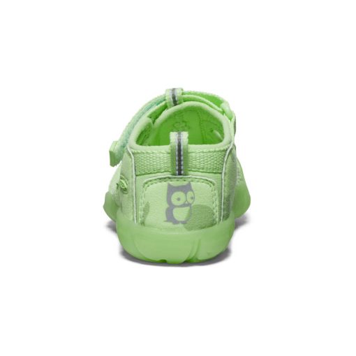 Toddlers' Seacamp II CNX Sandal x namuk  |  Paradise - Image 5