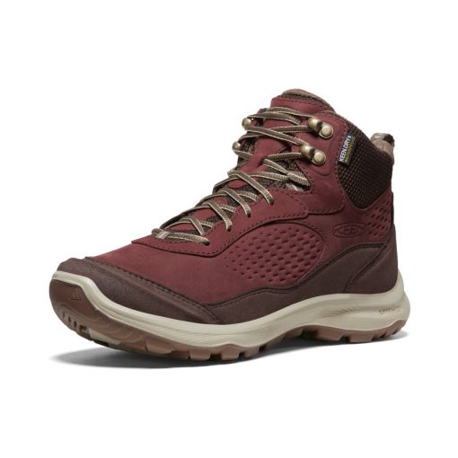 Women's Terradora Explorer Waterproof Boot  |  Andorra/Java - Image 3